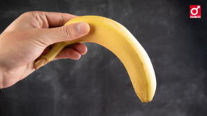 Ilustrasi kondisi penis yang melengkung normal